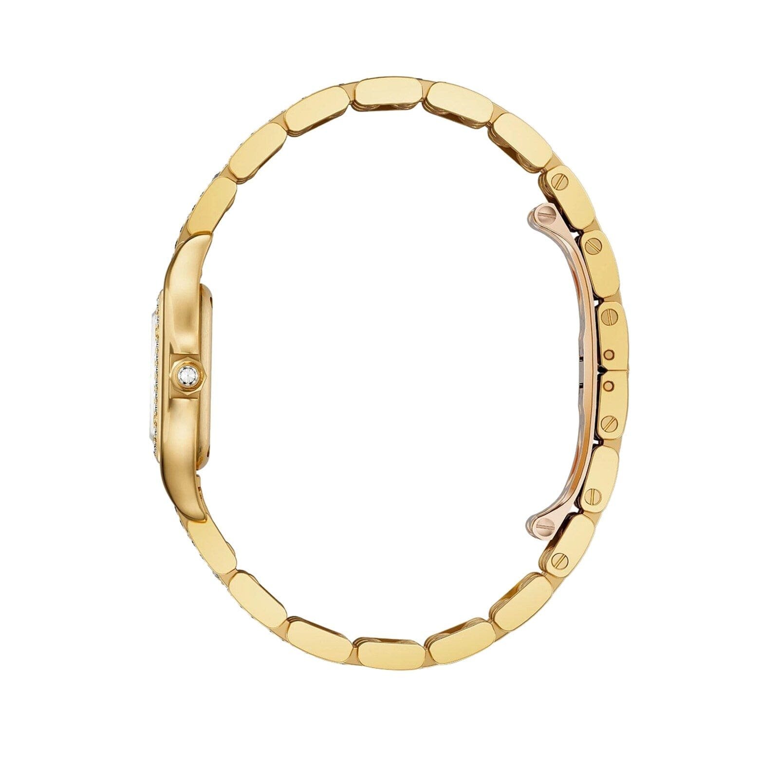 Panthère De Ca*t1er Watch