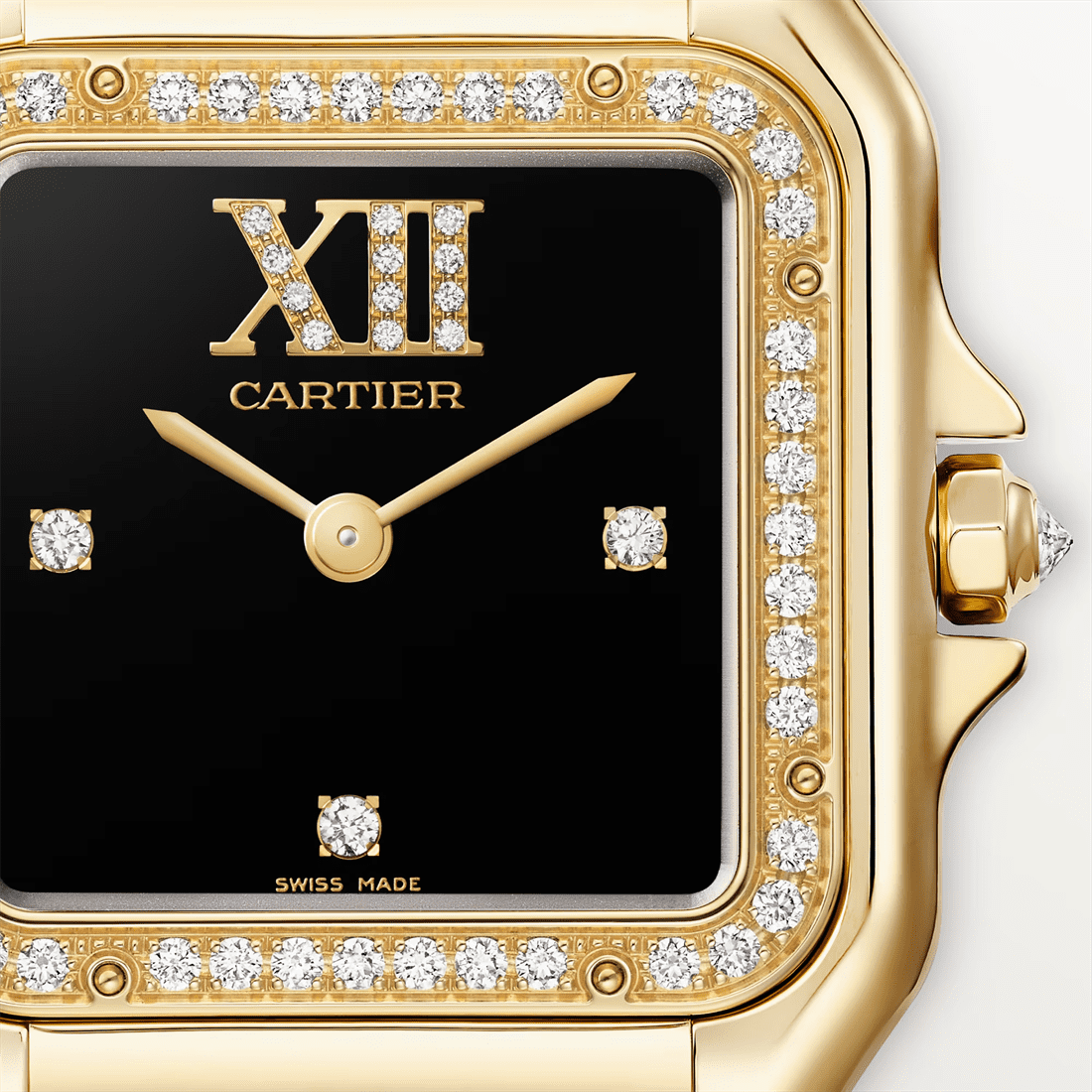 Panthère de Ca*t1er