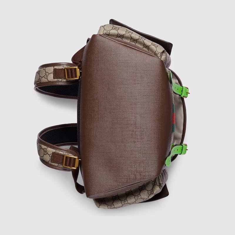 Gvc*1 Ophidia medium backpack