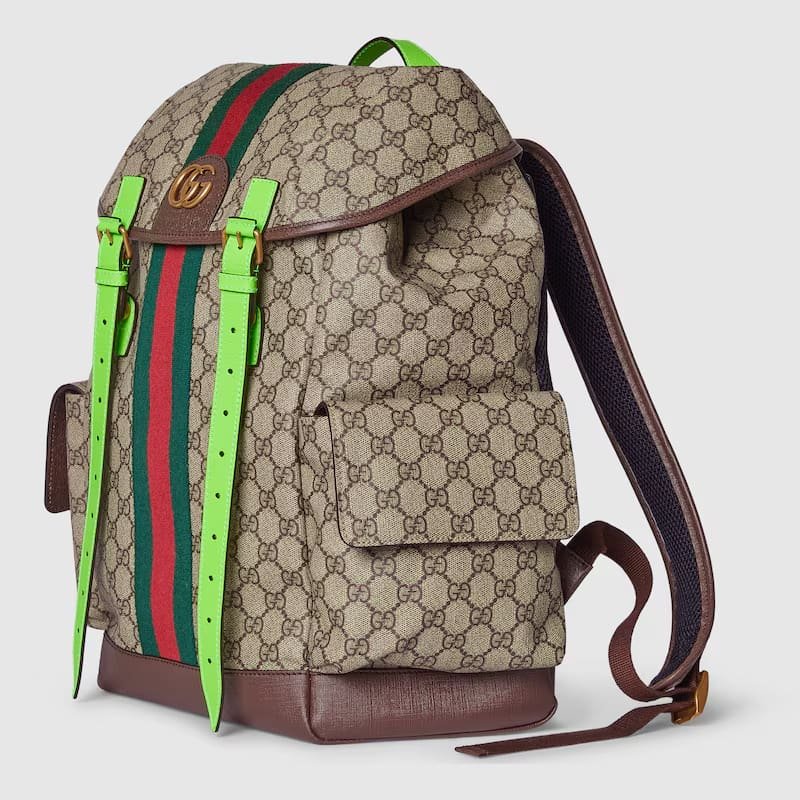 Gvc*1 Ophidia medium backpack