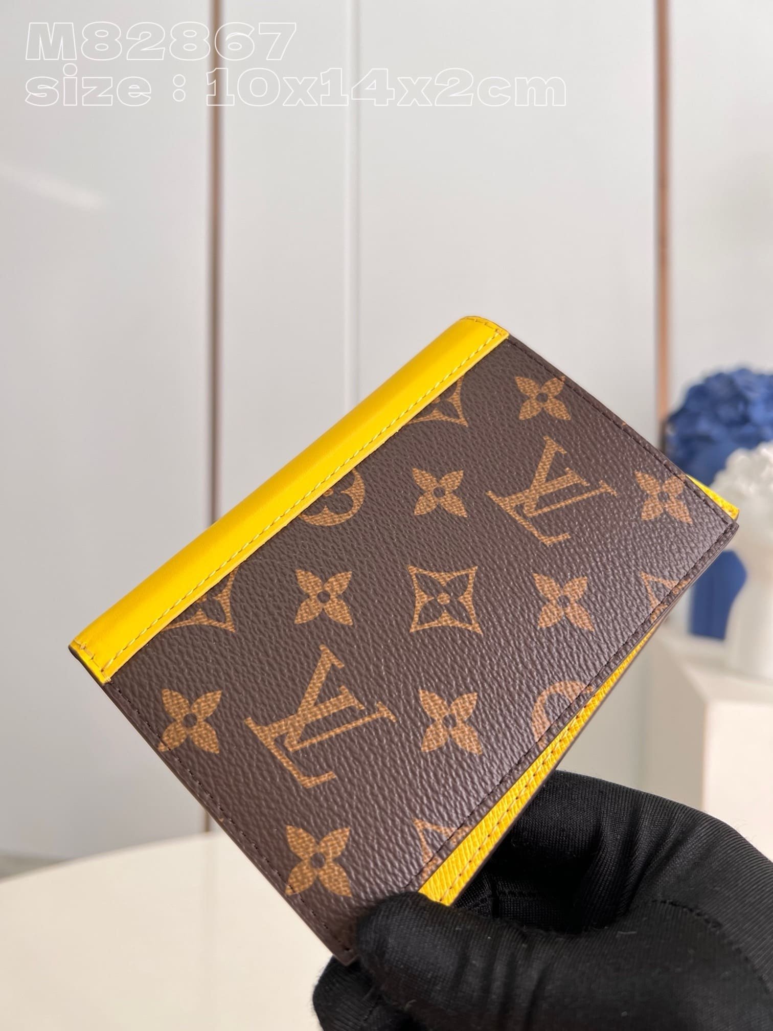 L0vis Vvtt0n M82864 Passport Cover
