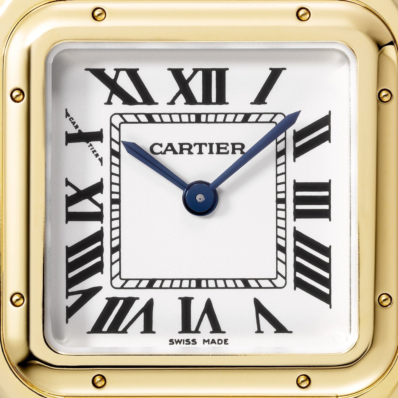 Panthère de Ca*t1er